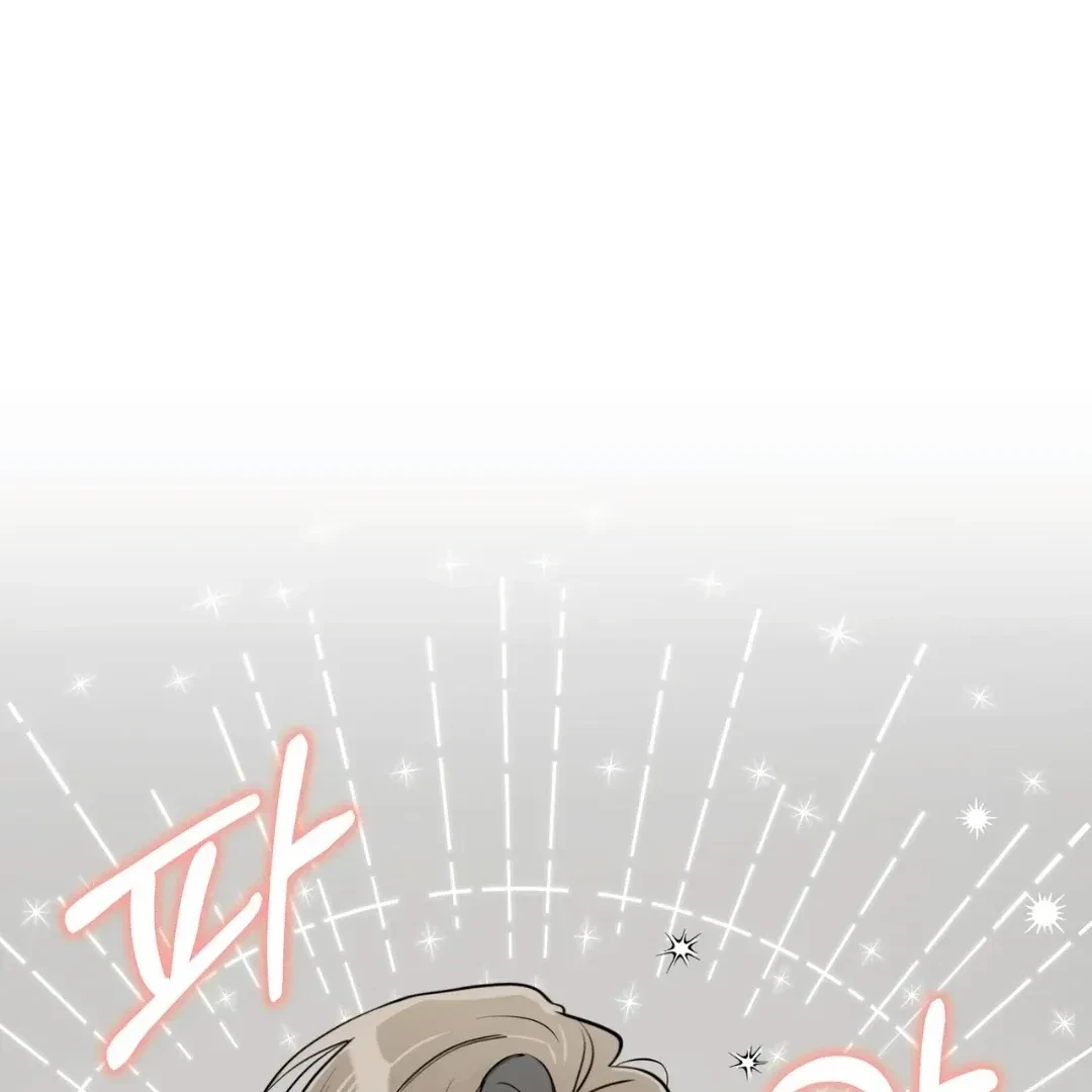 Chapter 2, page 102