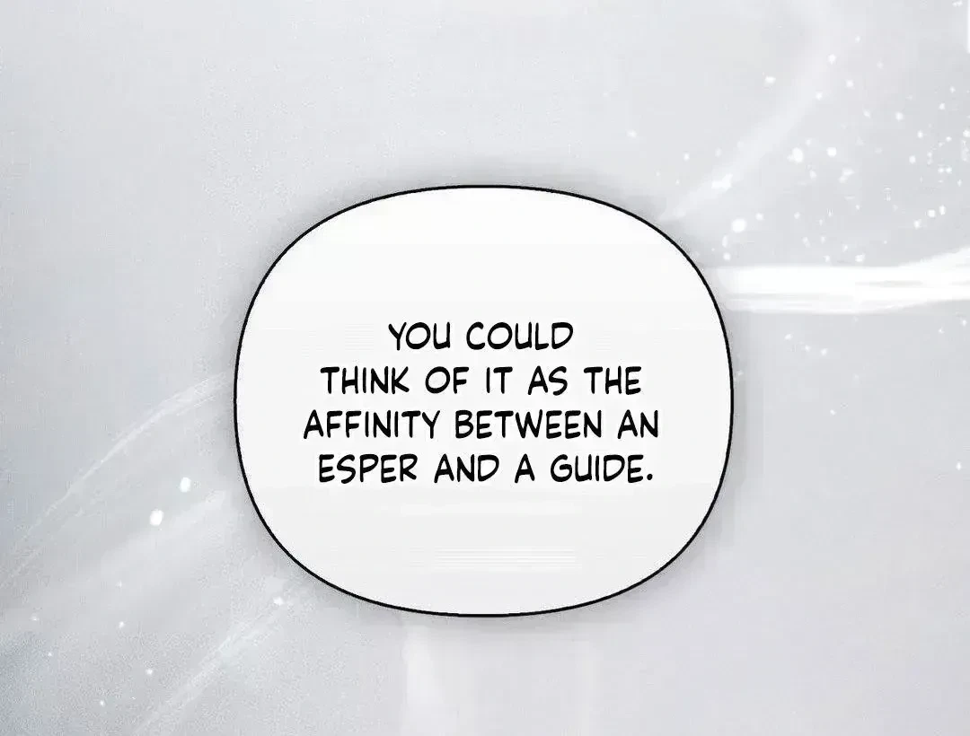 Chapter 2.6, page 113