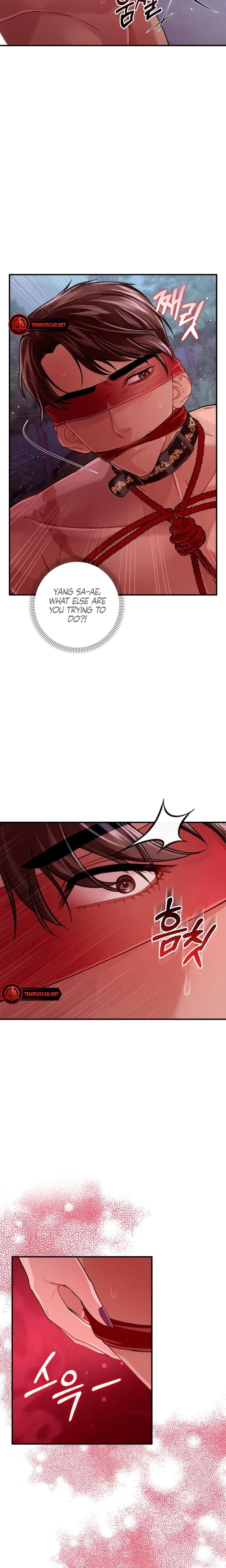 Chapter 21, page 17