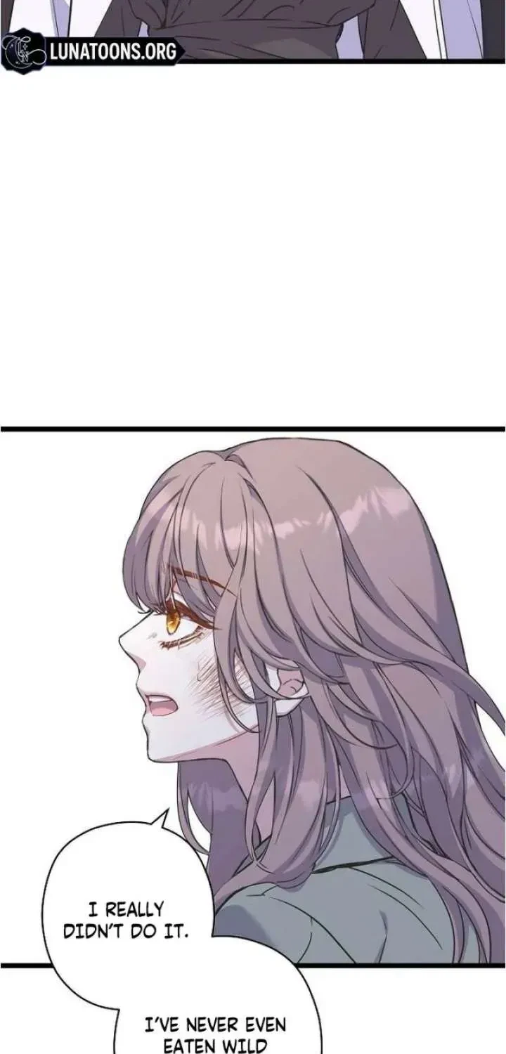 Chapter 37, page 33