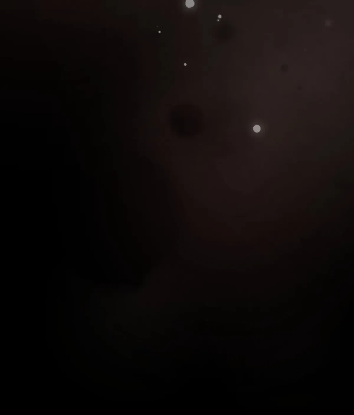 Chapter 53, page 203