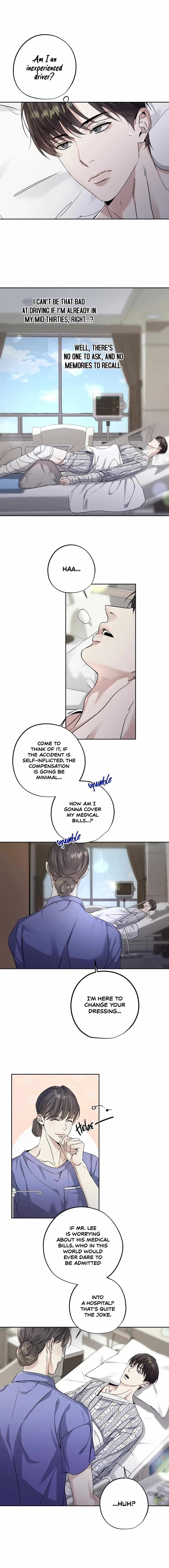 Chapter 1, page 13