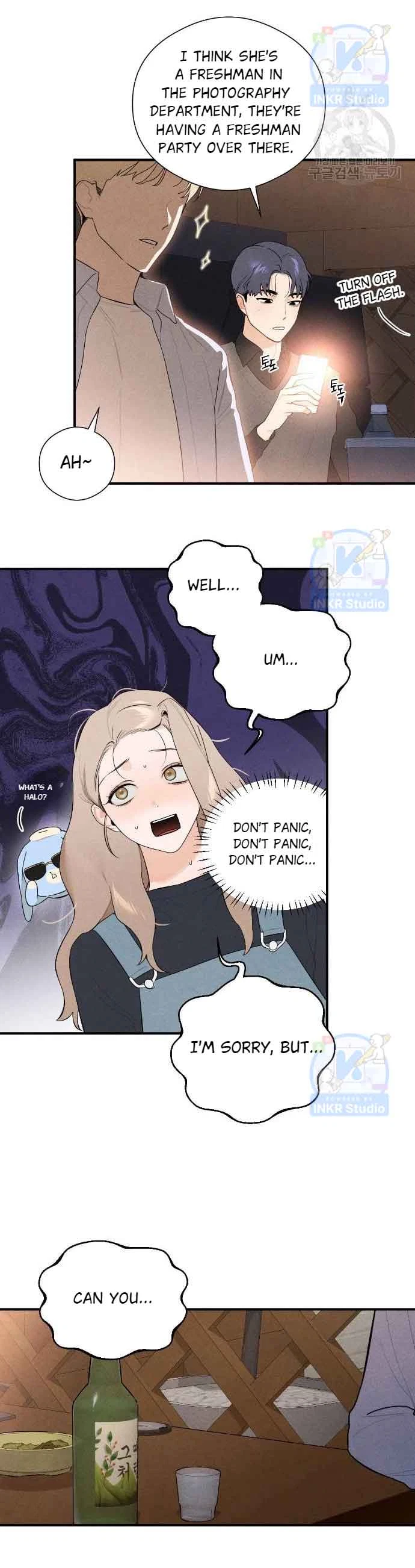 Chapter 3, page 15