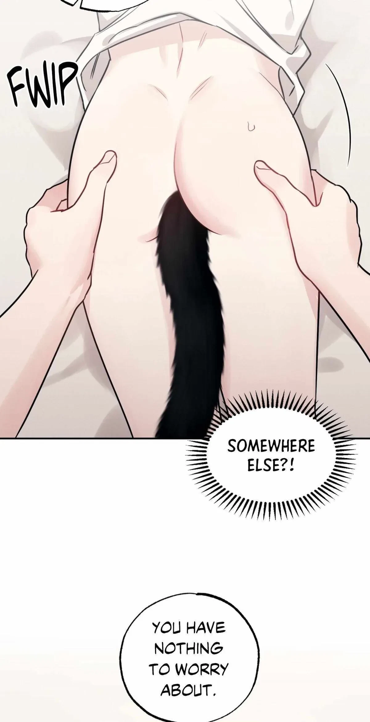 Side. : 4, page 5