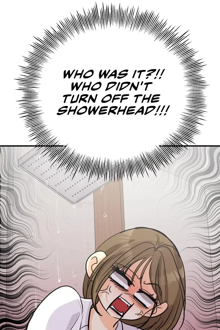 Chapter 4, page 106