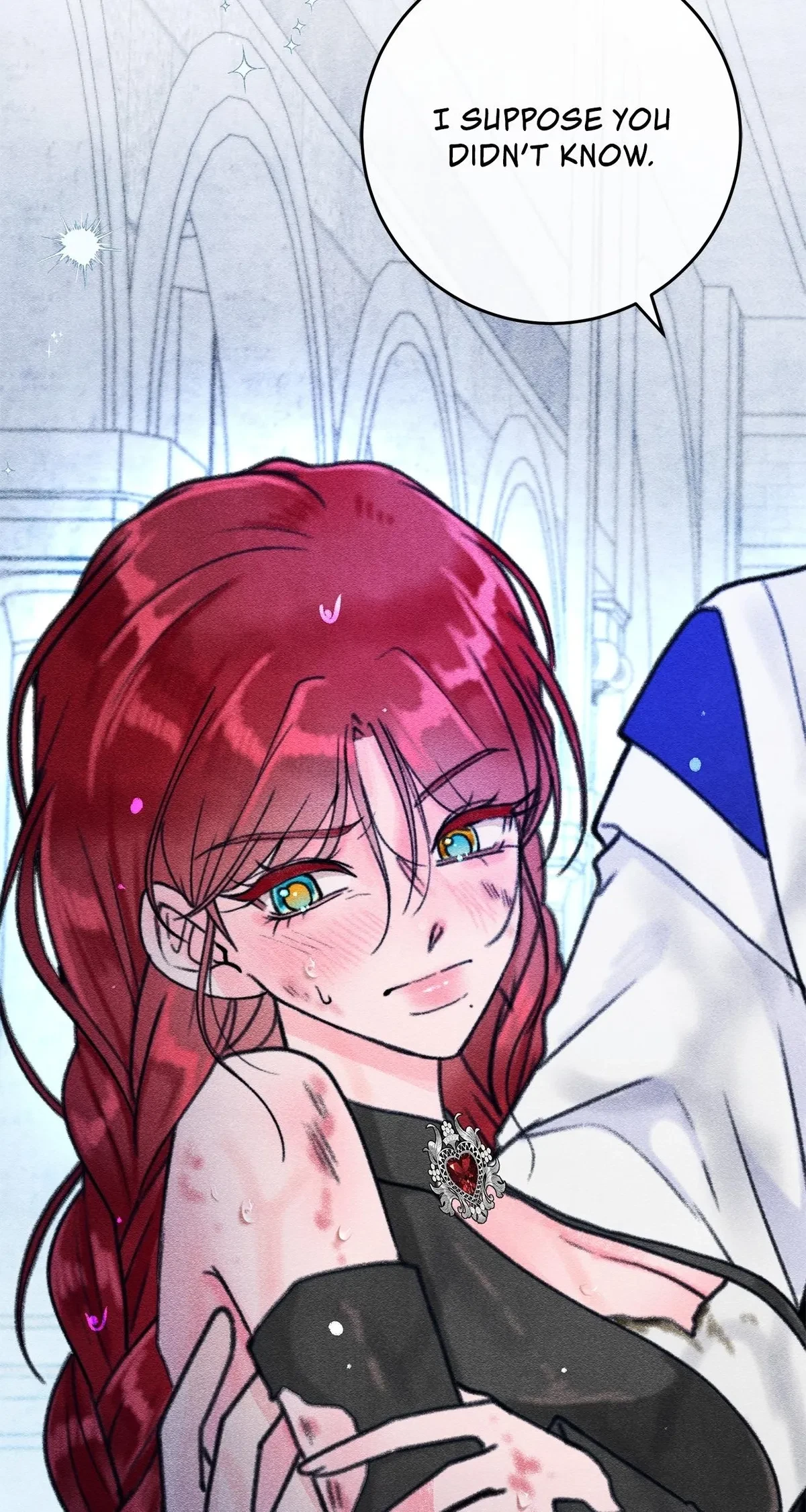 Chapter 8, page 107