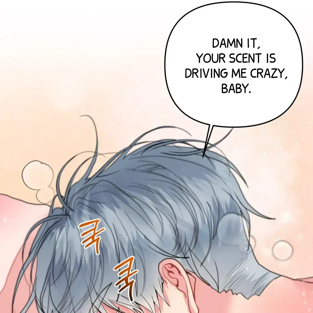 Chapter 1.5, page 46