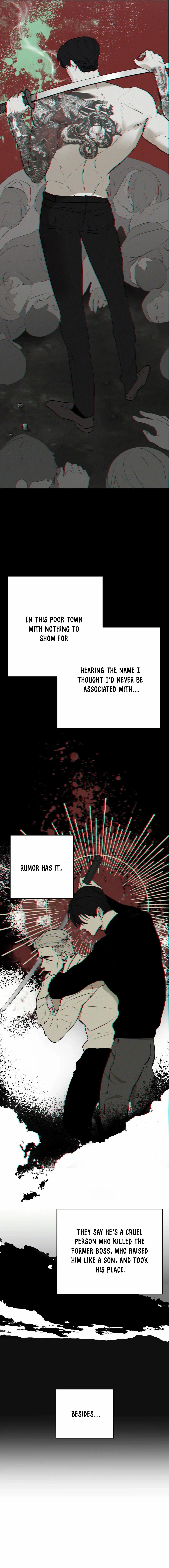 Chapter 1, page 20