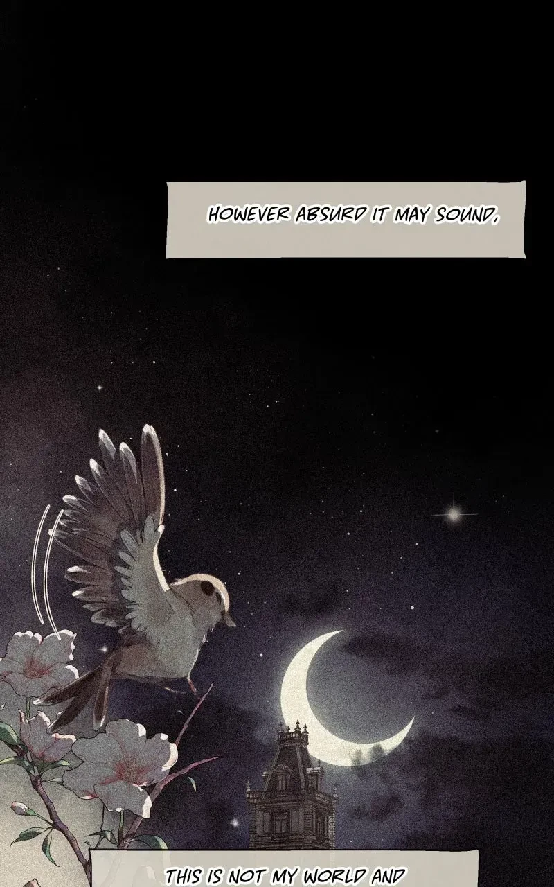 Chapter 44.1, page 4