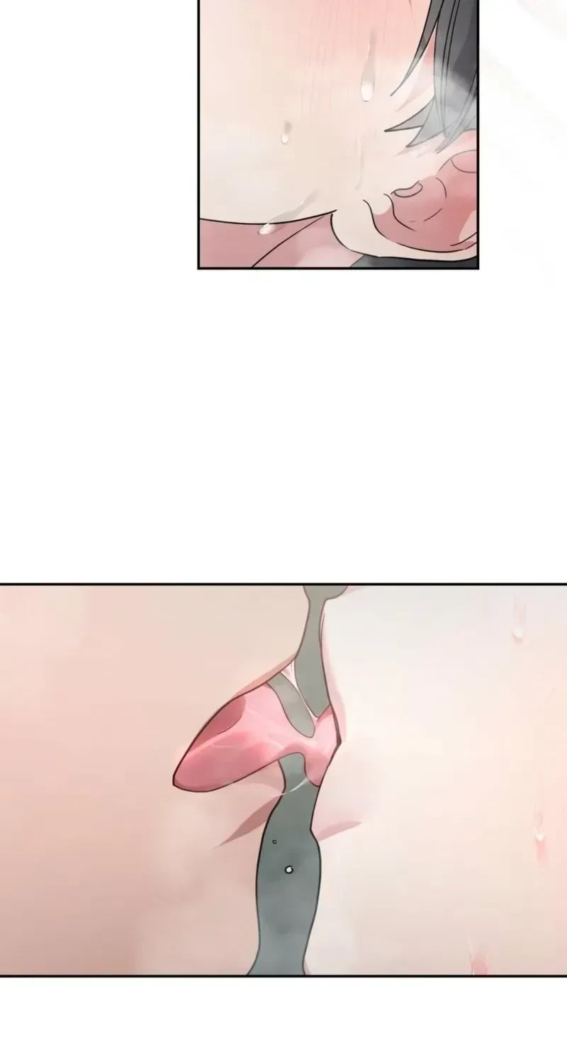 Chapter 2.1, page 83