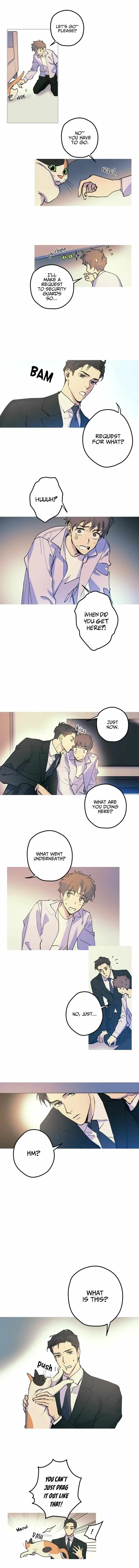 Chapter 6, page 8