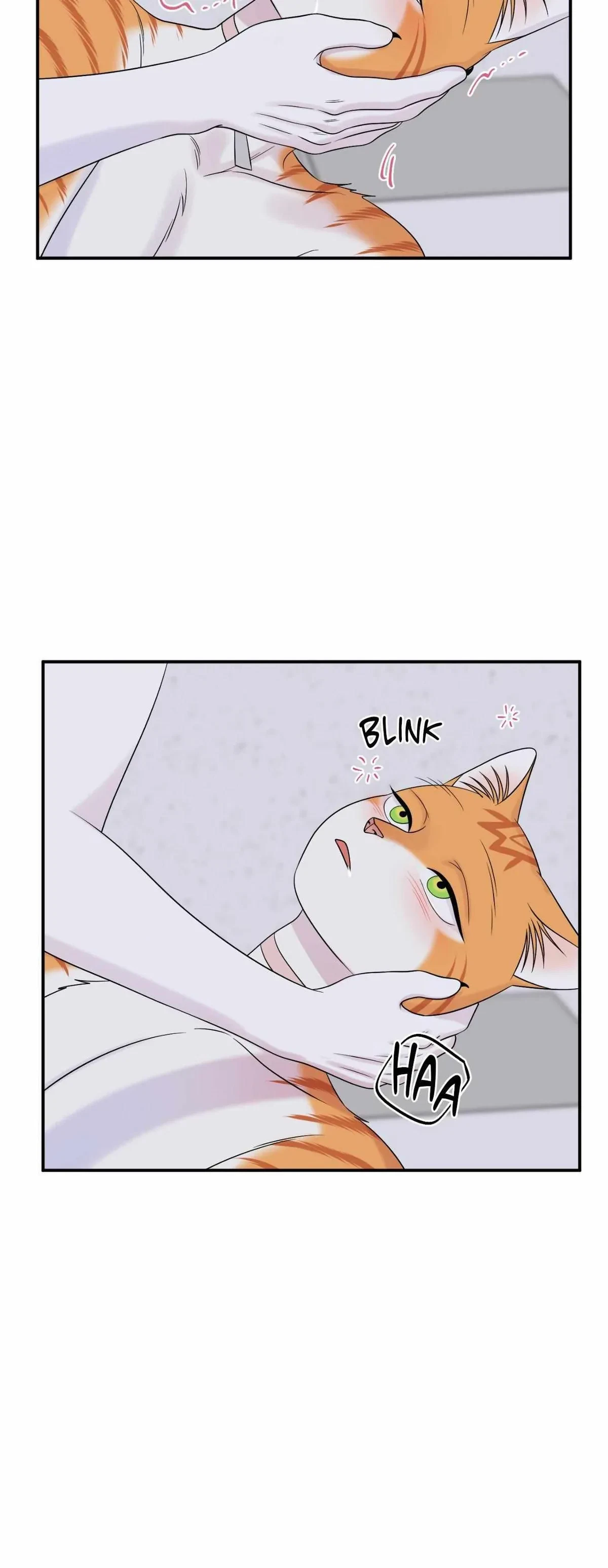 Season 3  Chapter 79, page 50