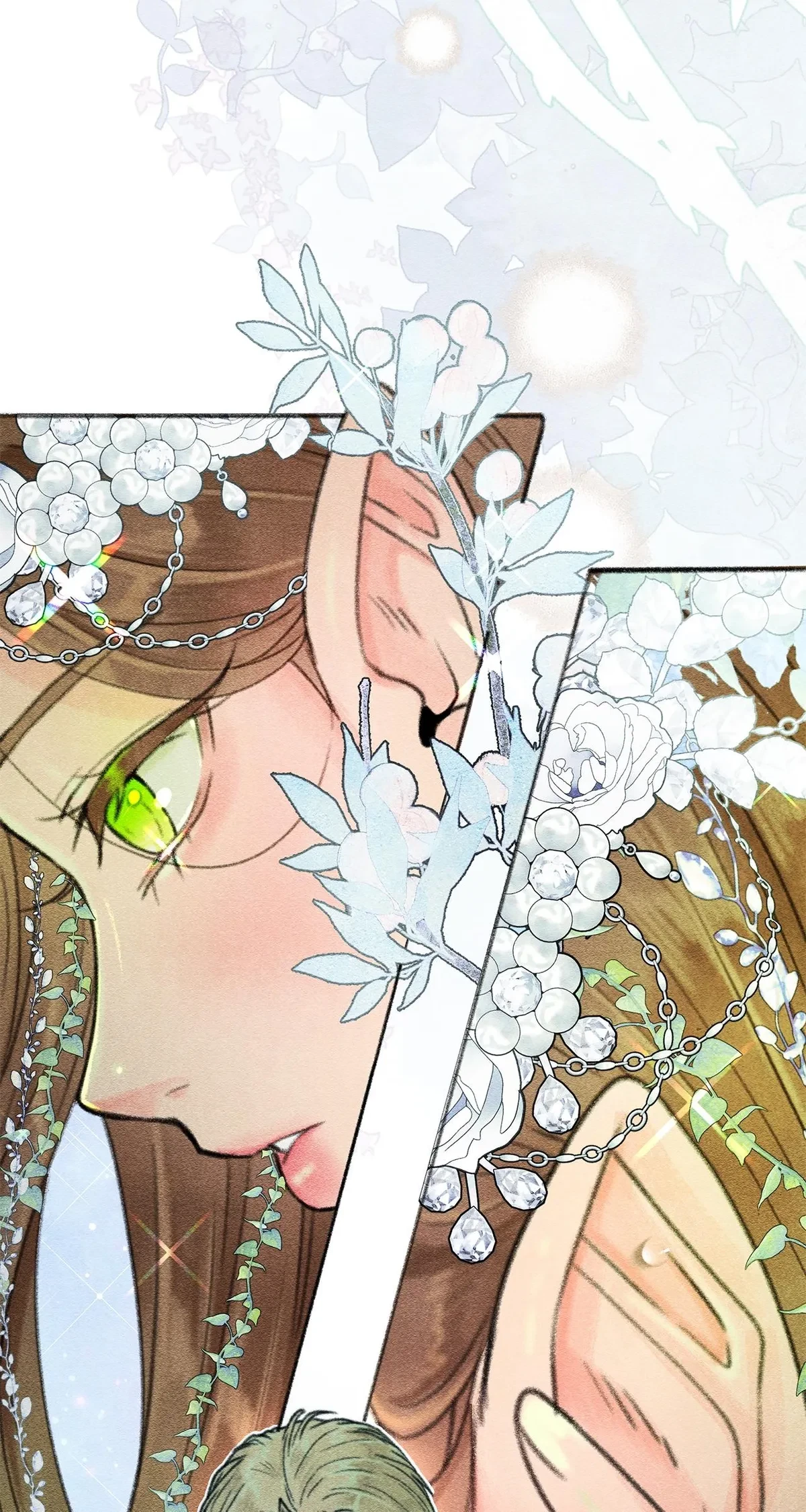 Chapter 2, page 14