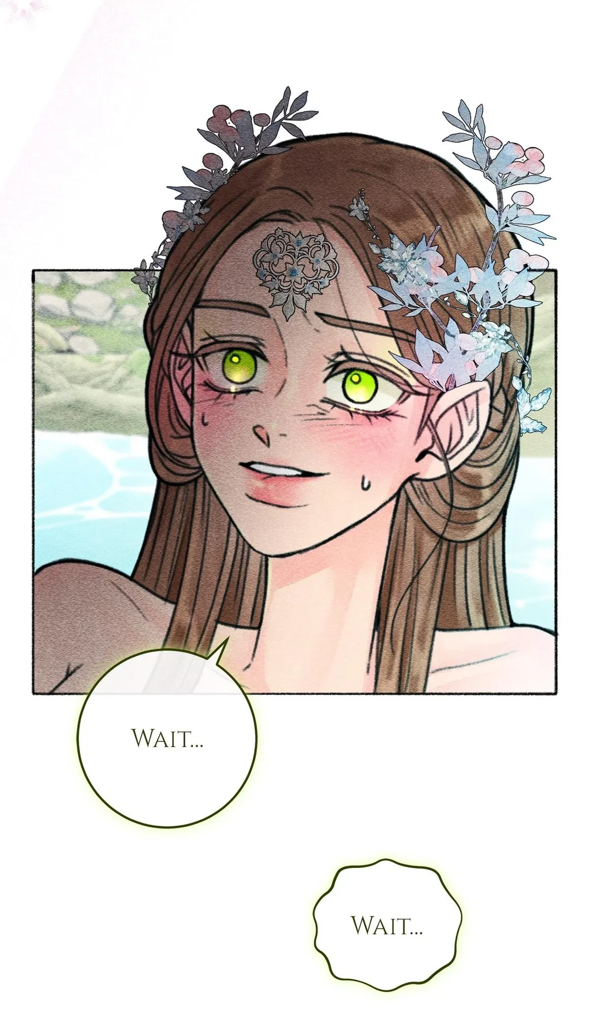 Chapter 2, page 79