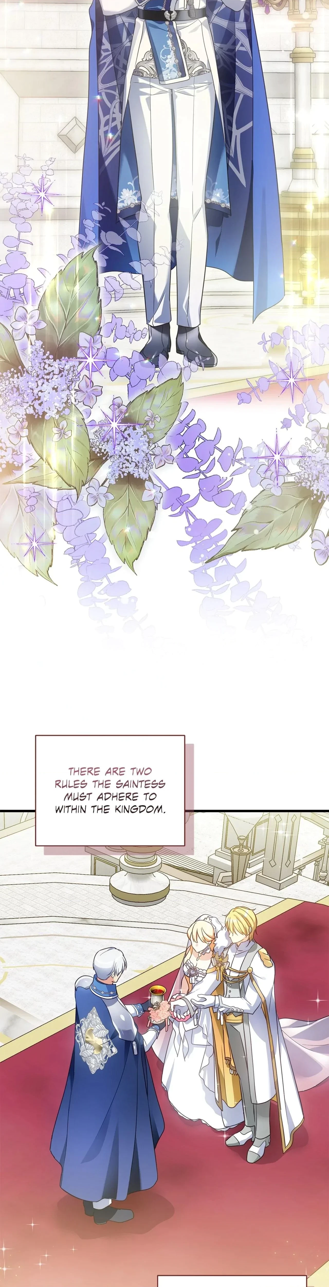 Chapter 1, page 19