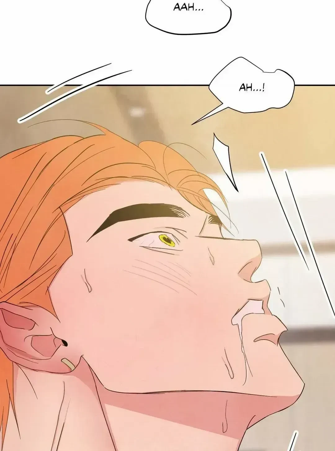 Chapter 100.2, page 106