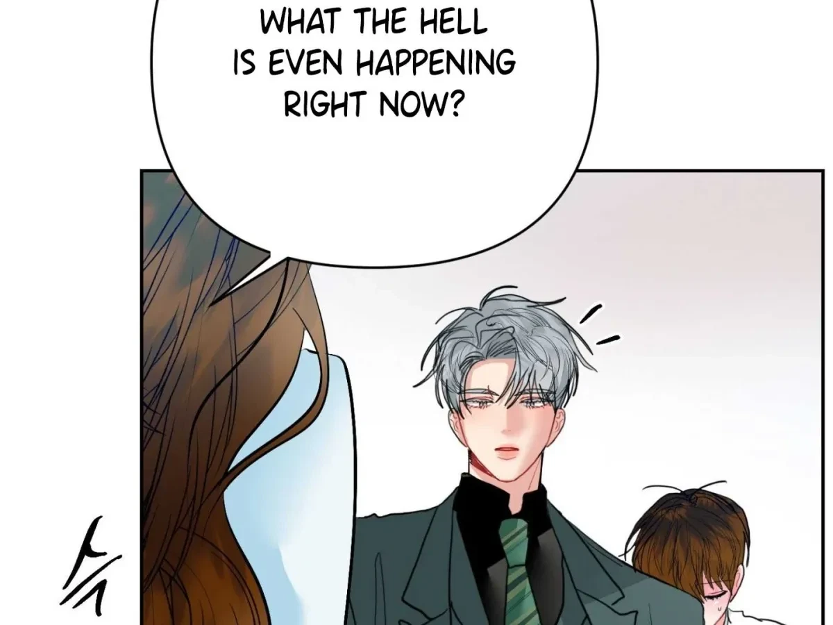 Chapter 17, page 101