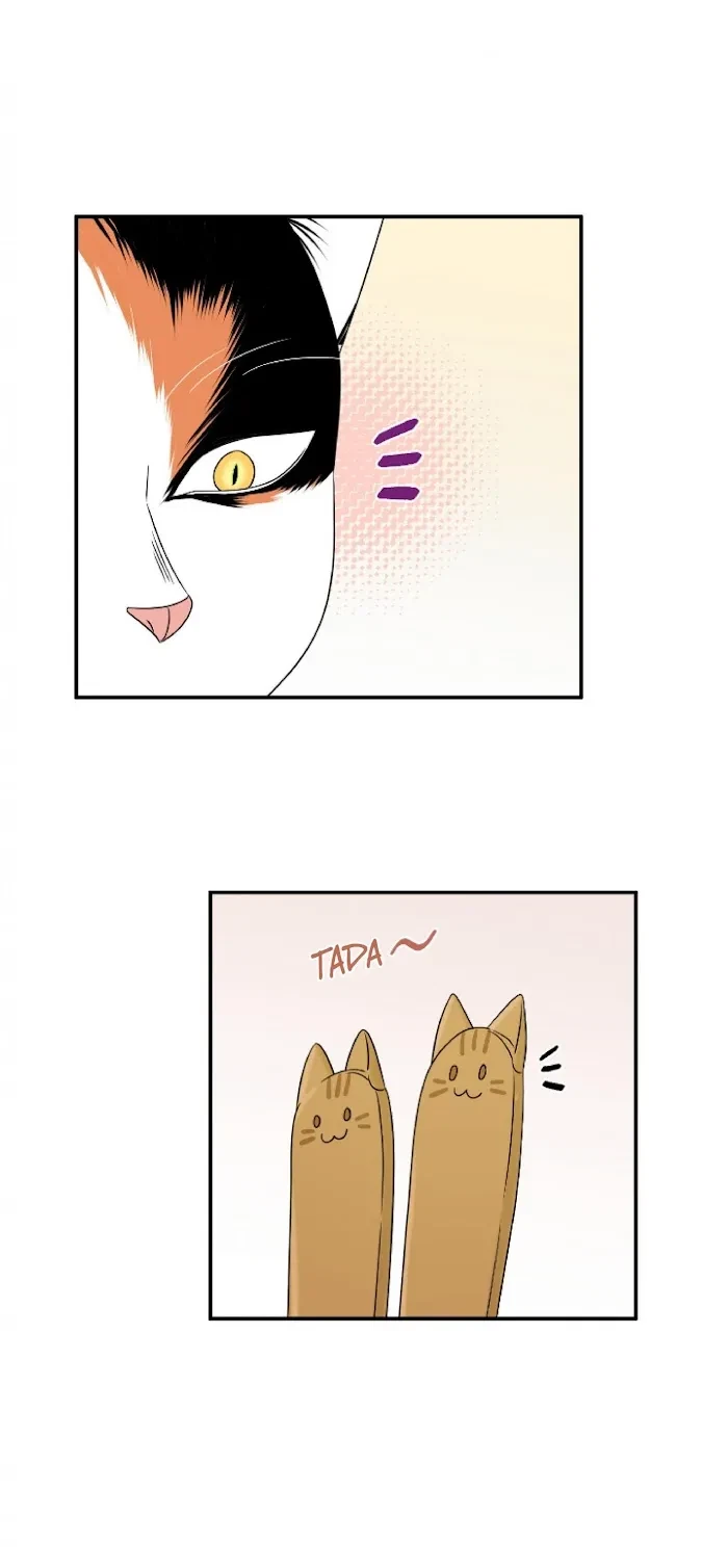Chapter 5, page 10