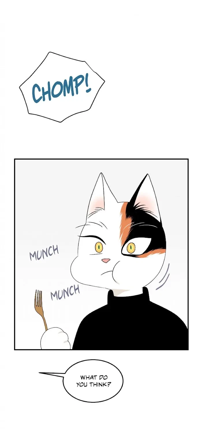 Chapter 5, page 15