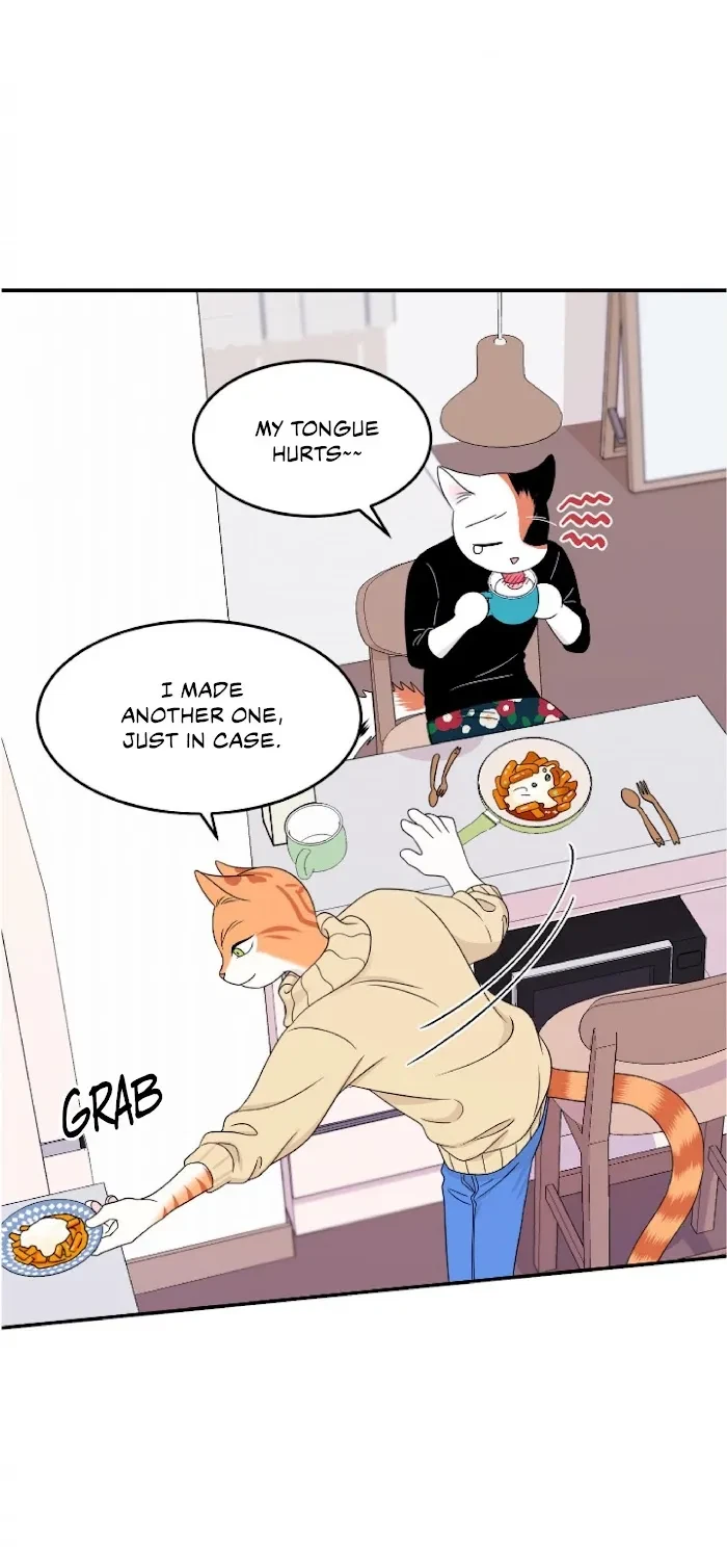 Chapter 5, page 17