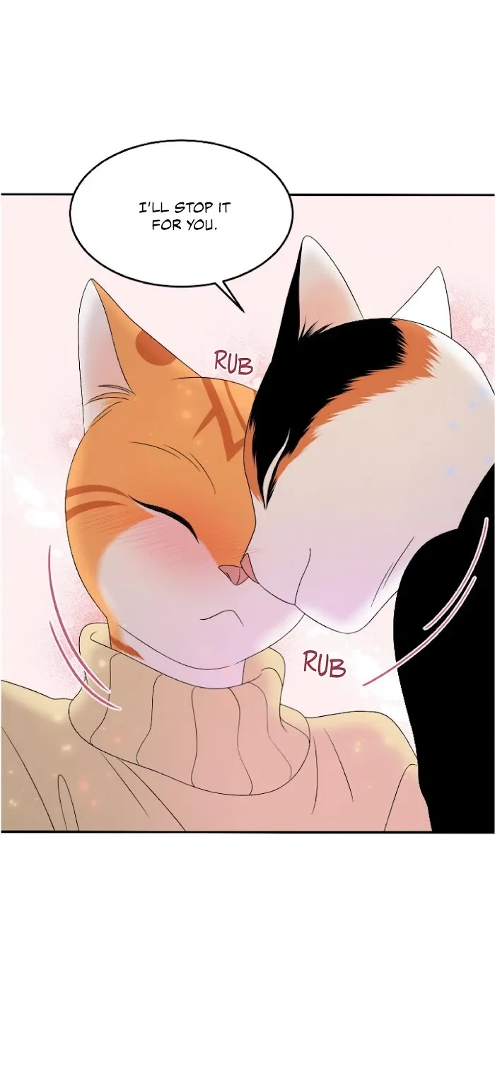 Chapter 5, page 28