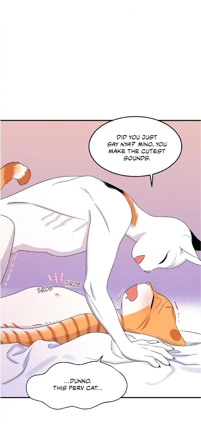 Chapter 5, page 40
