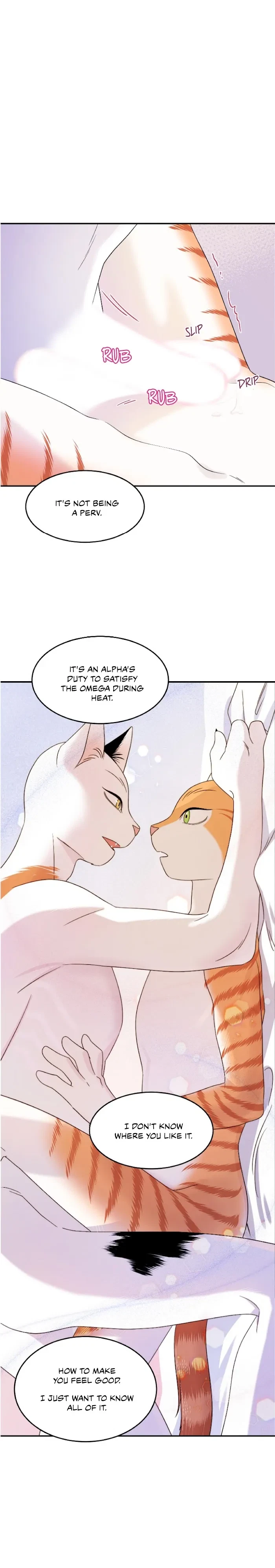 Chapter 5, page 41