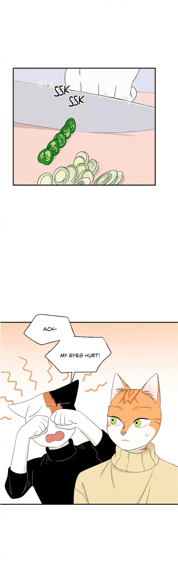 Chapter 5, page 5