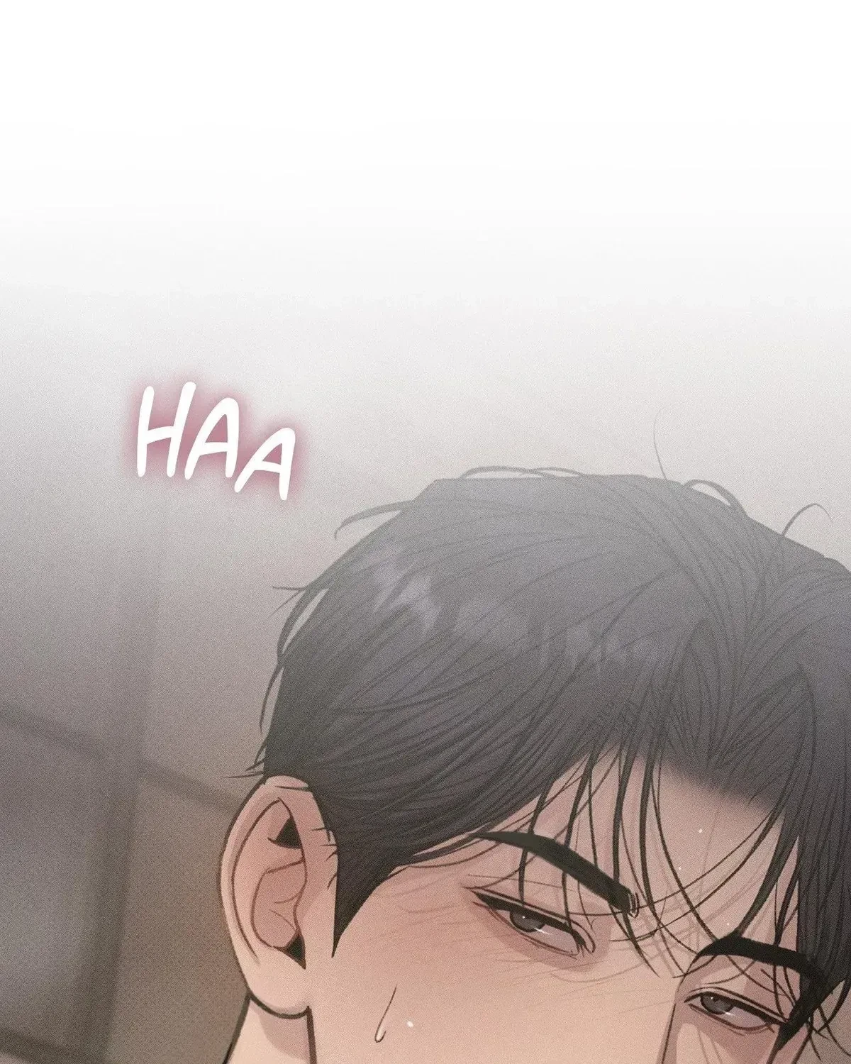 Chapter 3.3, page 43