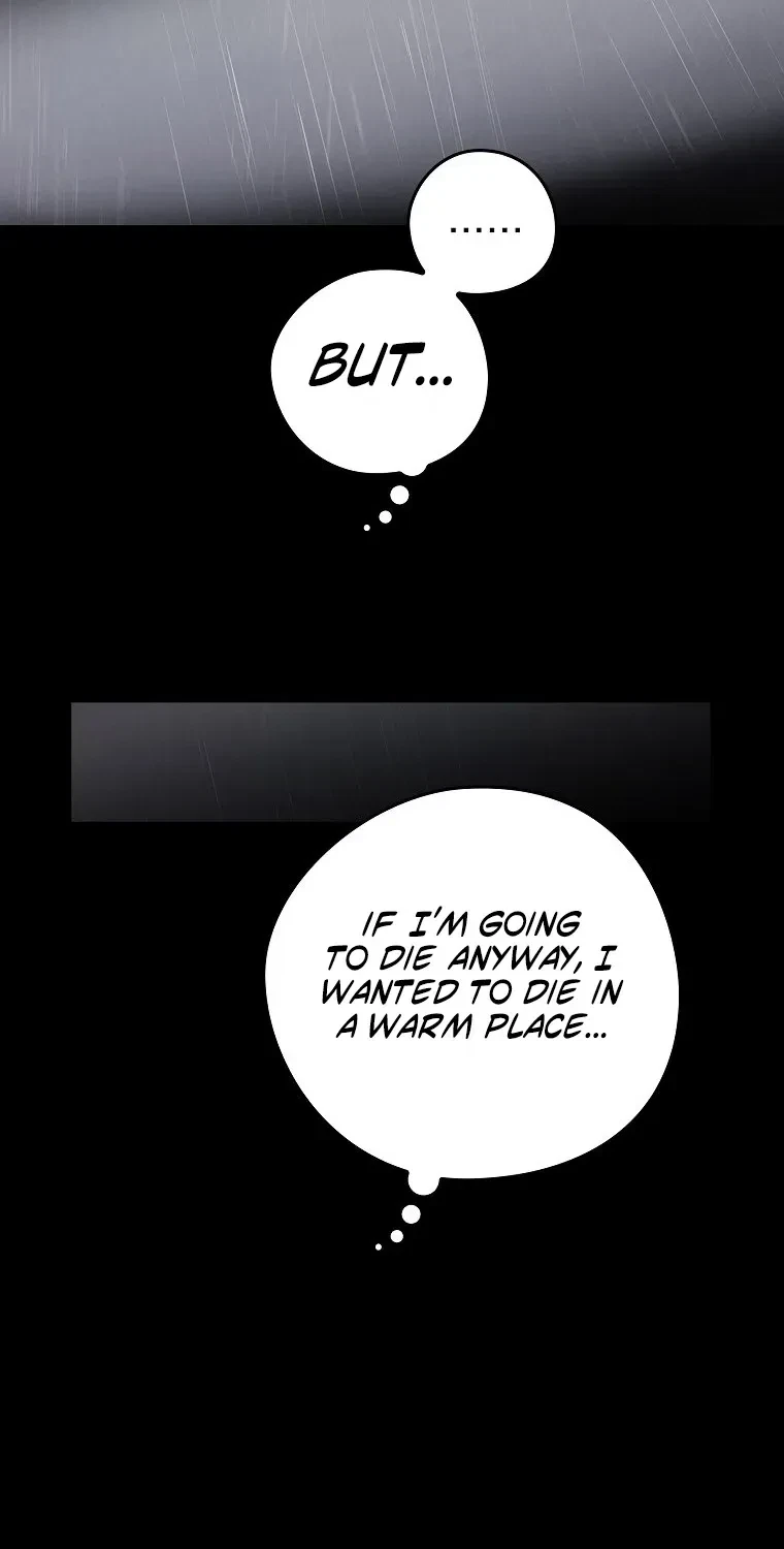 Chapter 4, page 66
