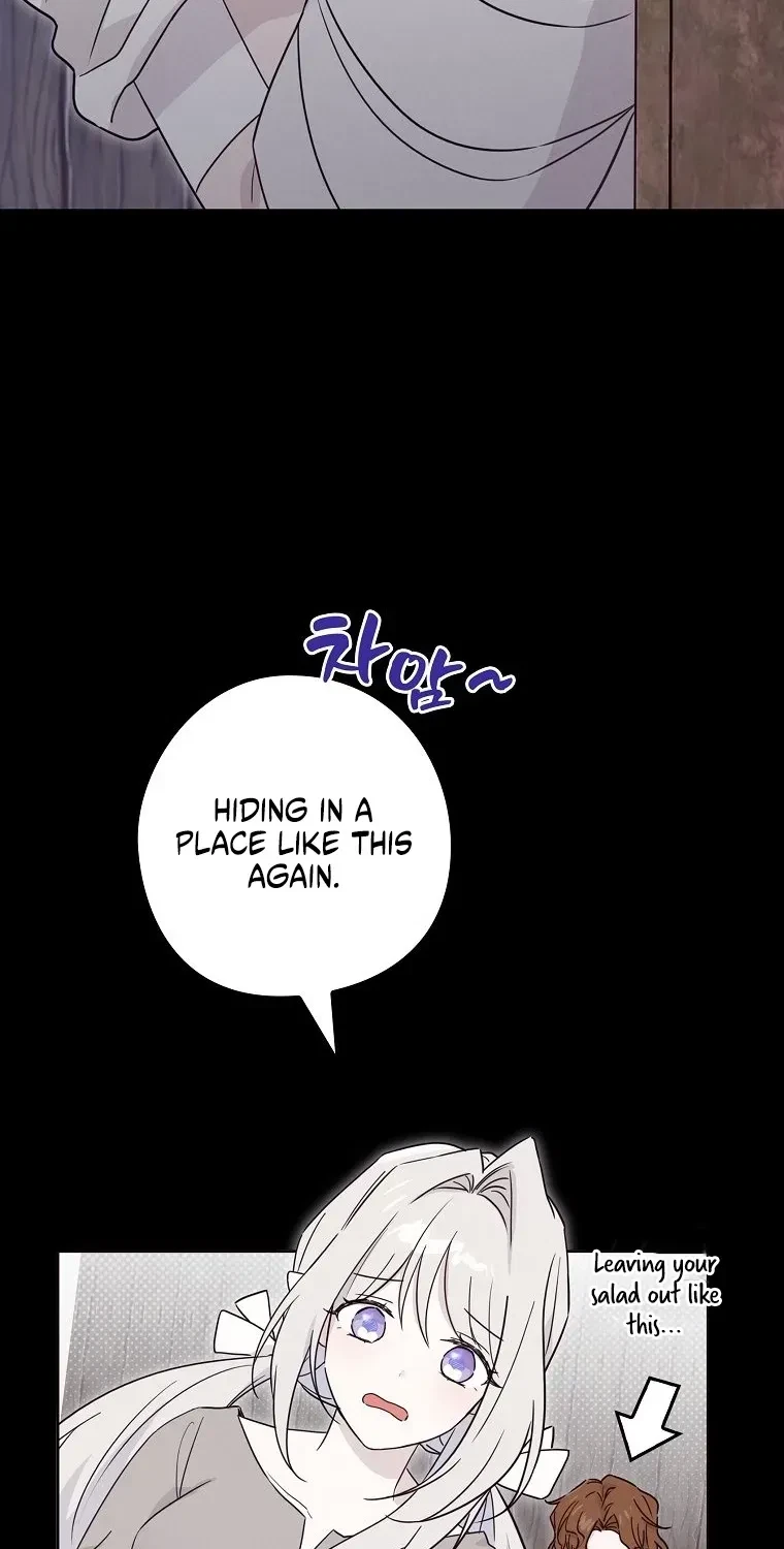 Chapter 4, page 76