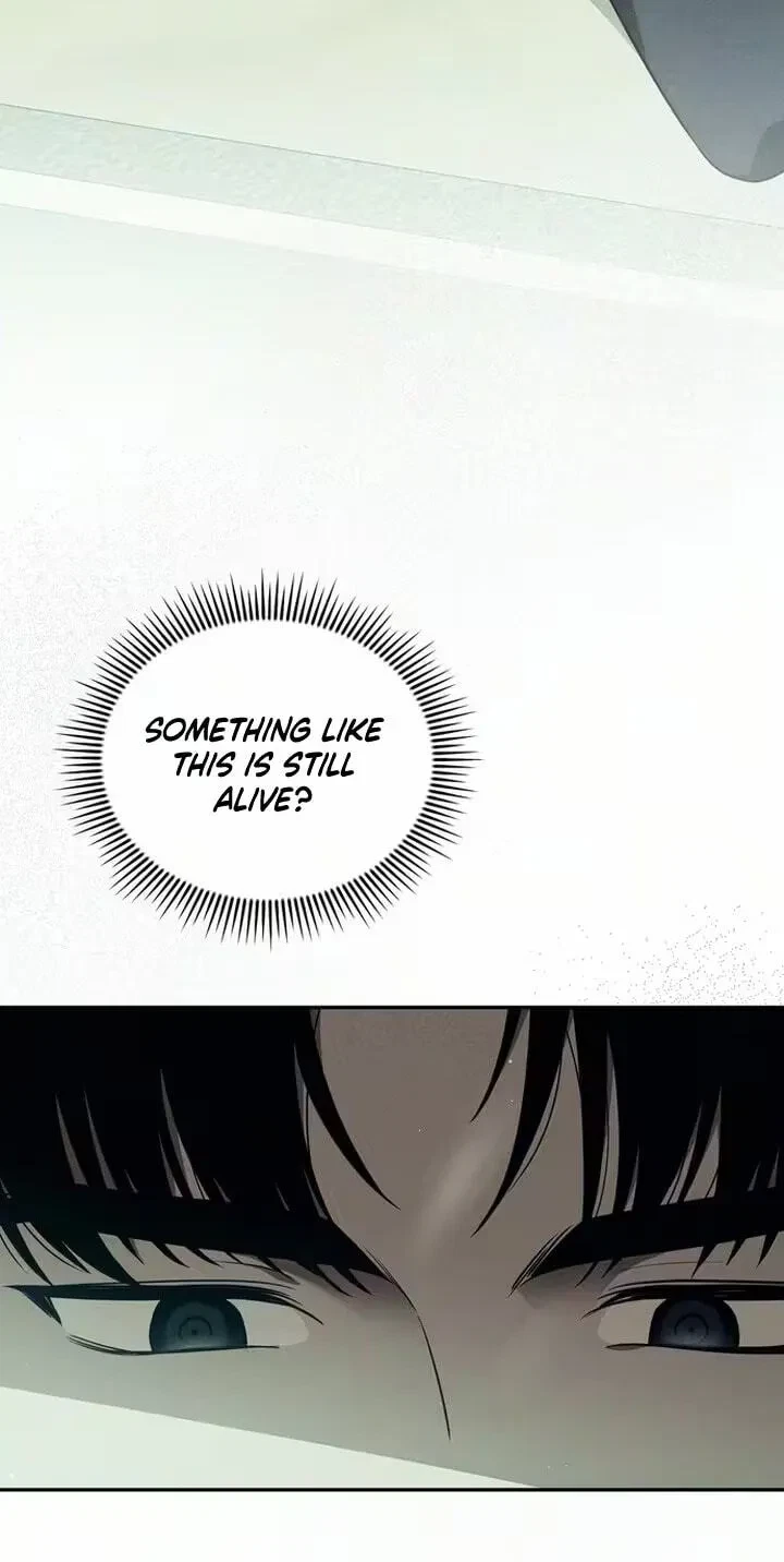 Chapter 1, page 16