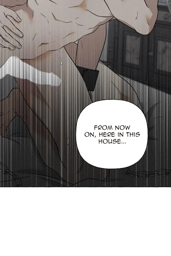 Chapter 1, page 19