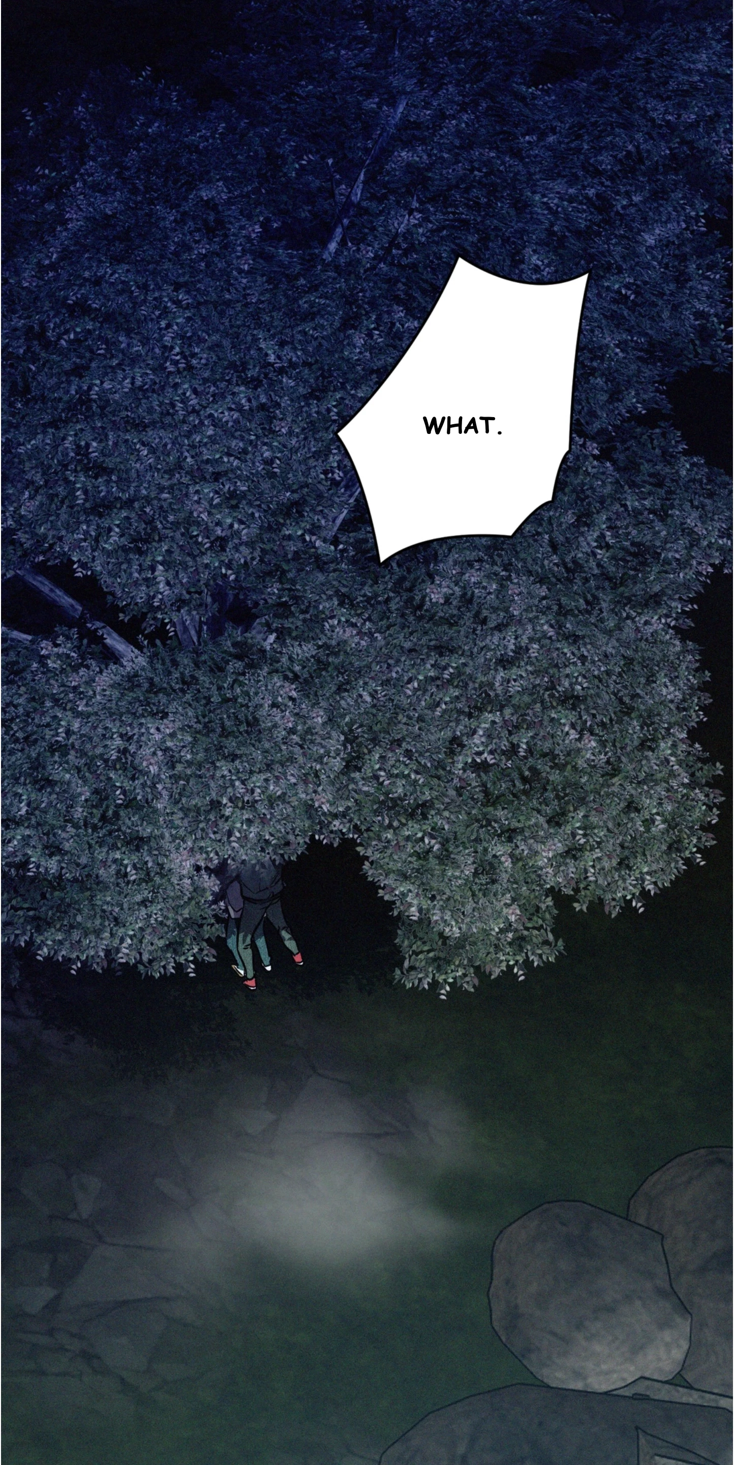 Chapter 6, page 61