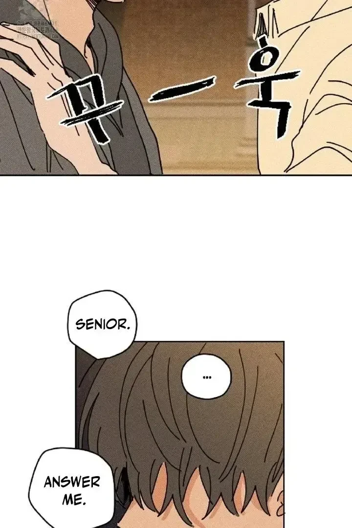Chapter 3, page 15