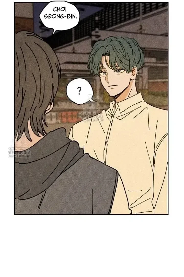 Chapter 3, page 20
