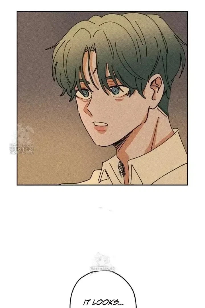 Chapter 3, page 44