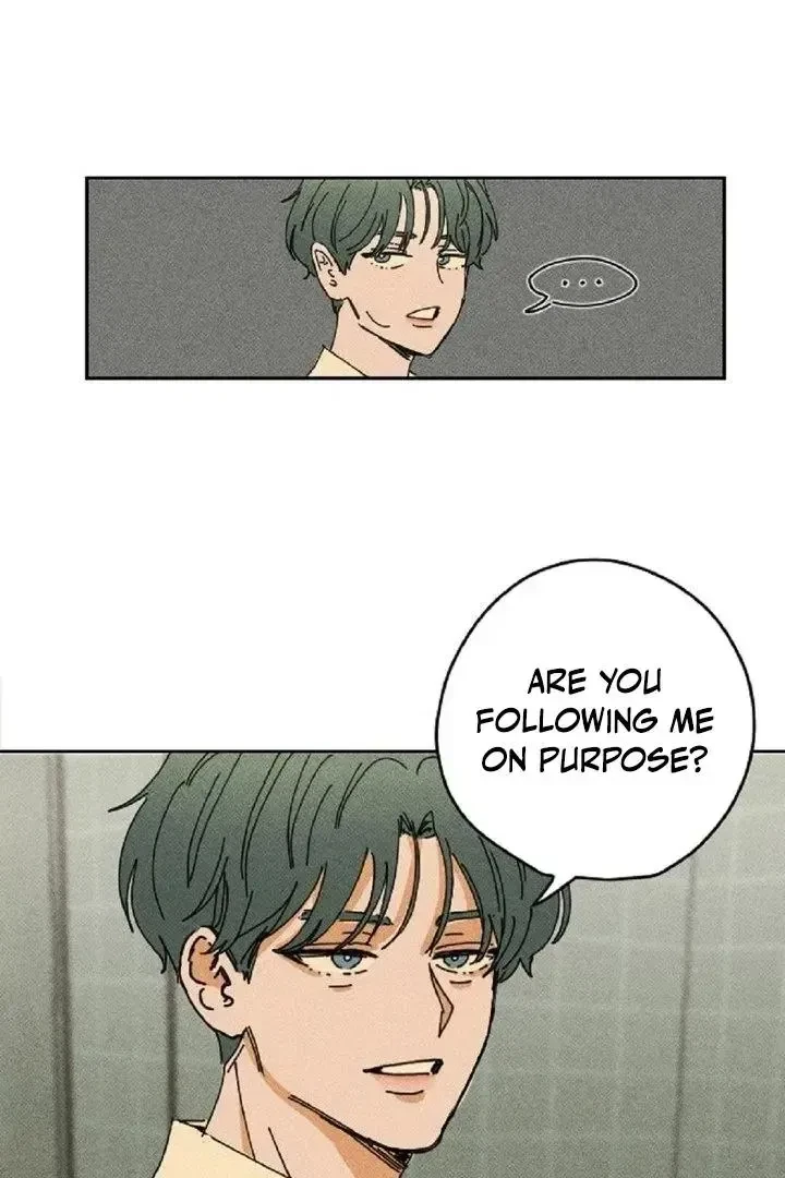 Chapter 3, page 6