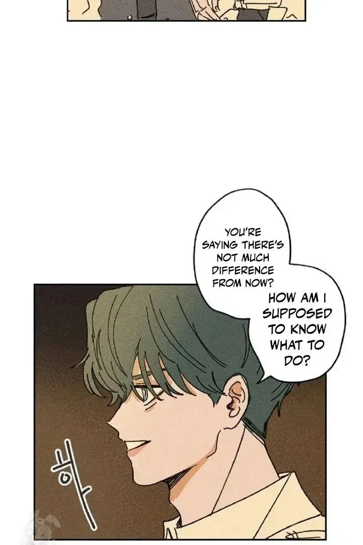Chapter 3, page 61