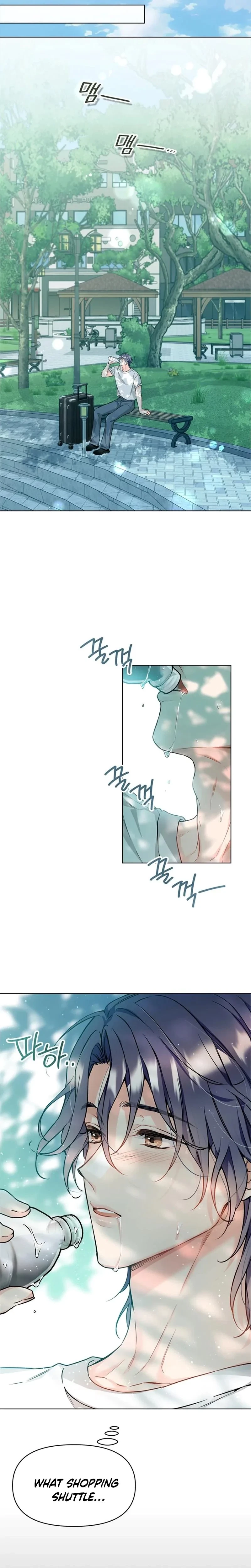 Chapter 1, page 11
