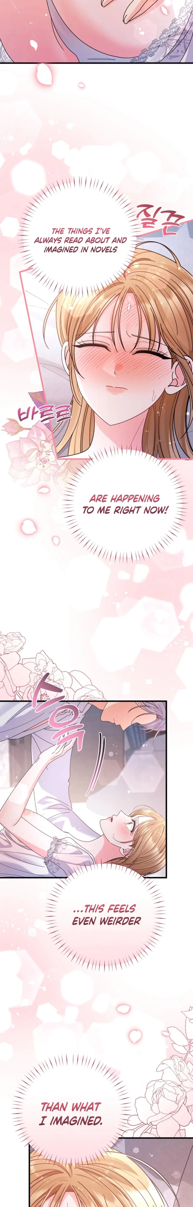 Your Highness, This Is Just A Novel Chapter 16, page 17