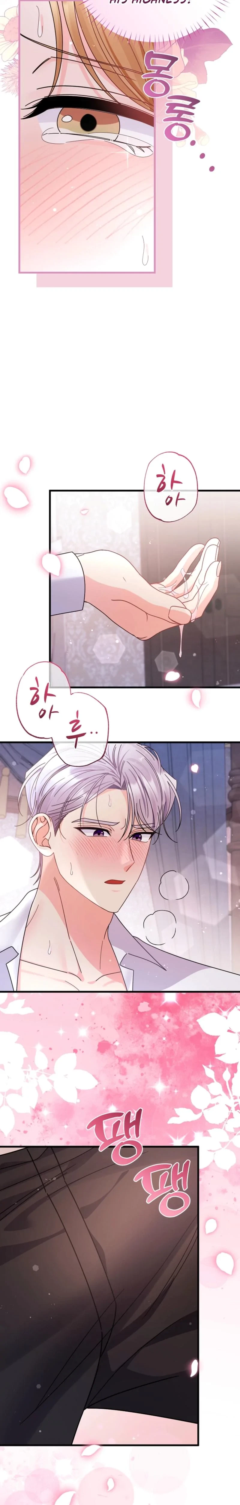 Your Highness, This Is Just A Novel Chapter 16, page 21