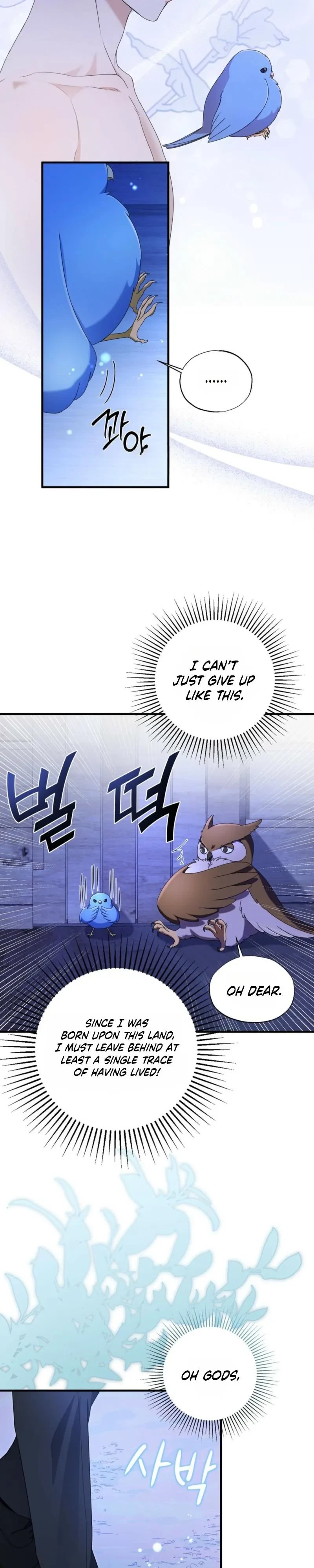 Chapter 1, page 27