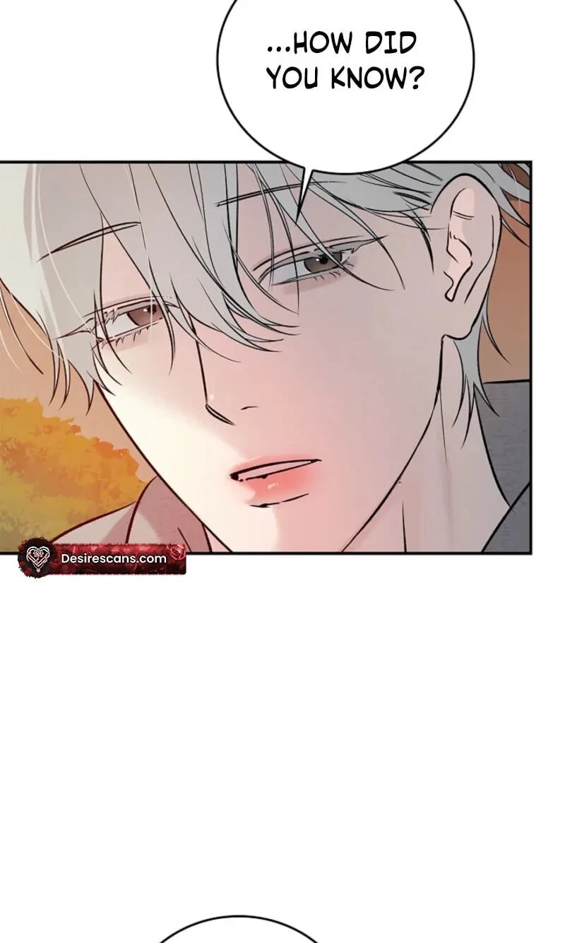 Chapter 41, page 65