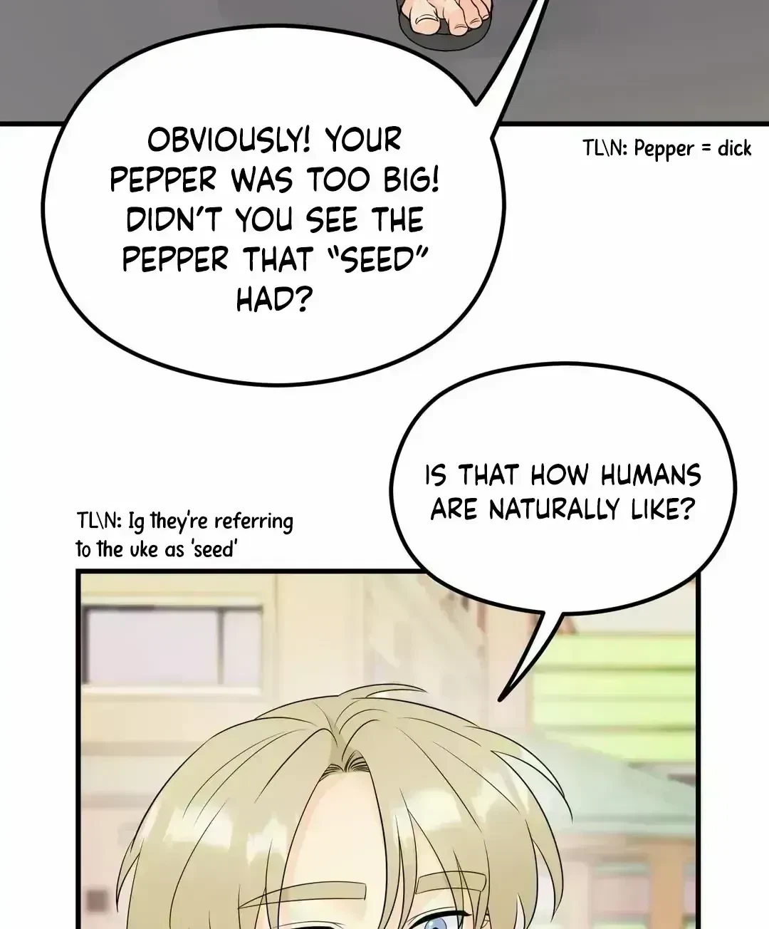 Chapter 2.9, page 97