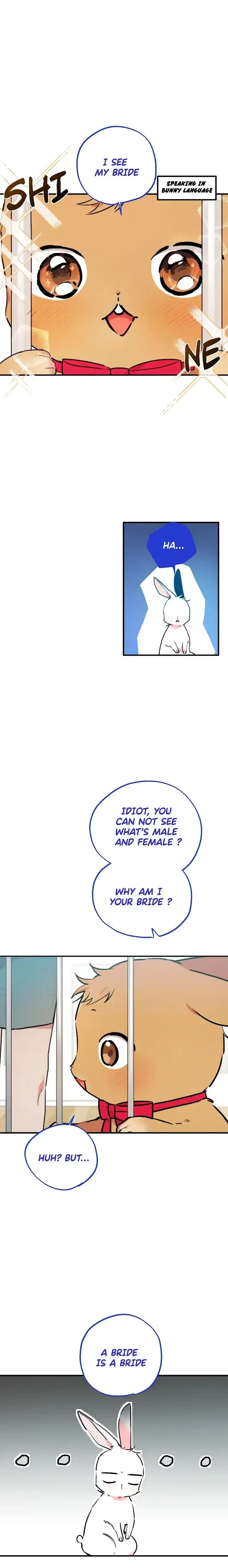 Chapter 2, page 14
