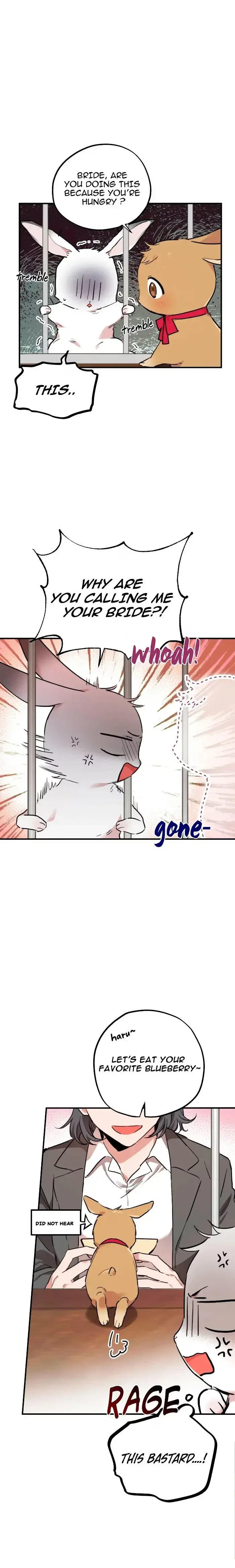 Chapter 2, page 17