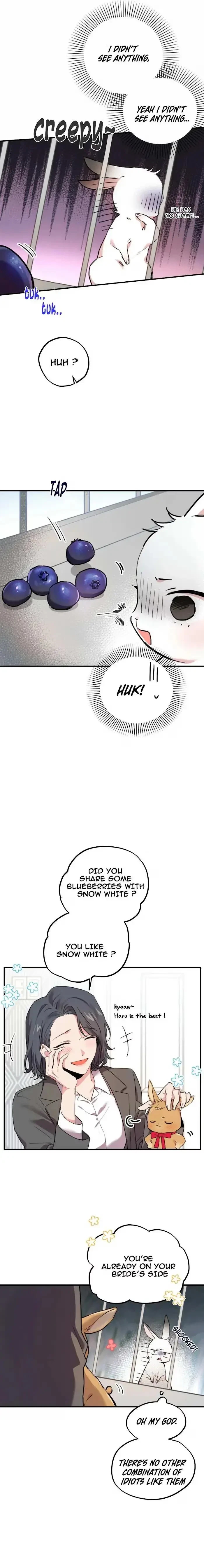 Chapter 2, page 19