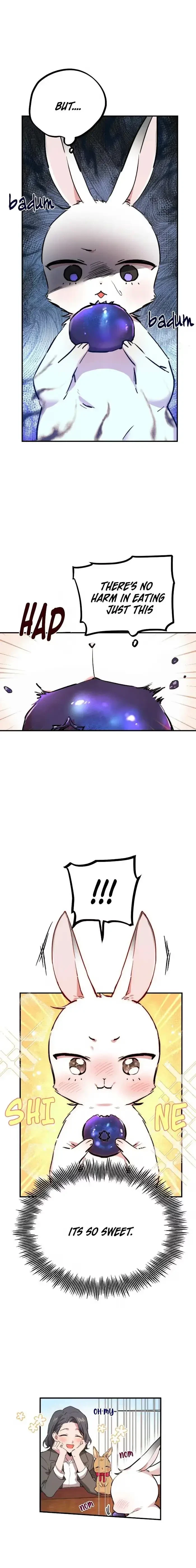 Chapter 2, page 23