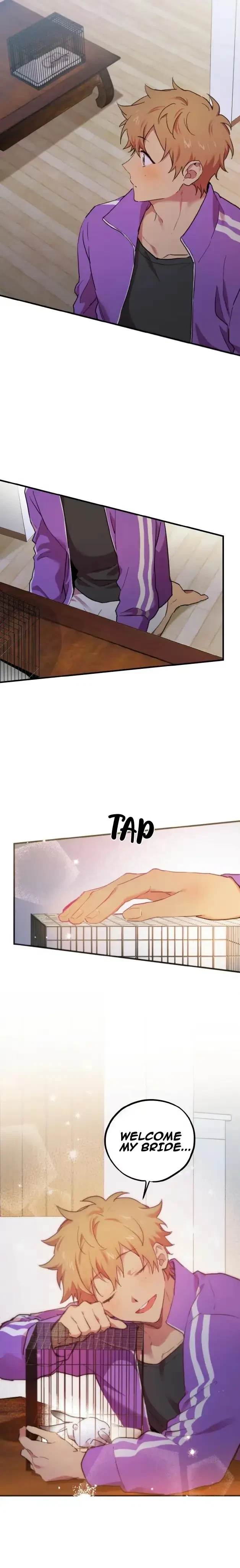 Chapter 2, page 25